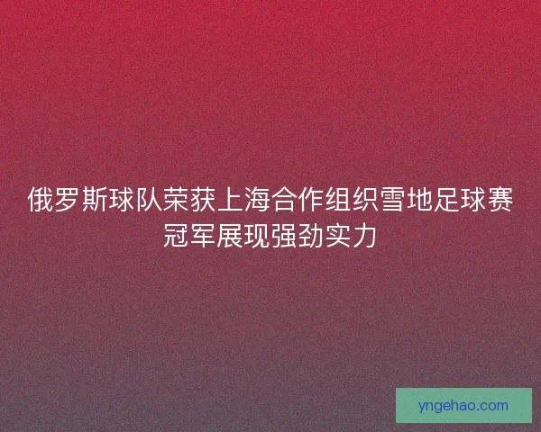 俄罗斯球队荣获上海合作组织雪地足球赛冠军展现强劲实力