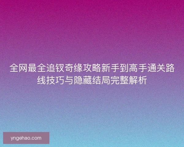 全网最全追钗奇缘攻略新手到高手通关路线技巧与隐藏结局完整解析